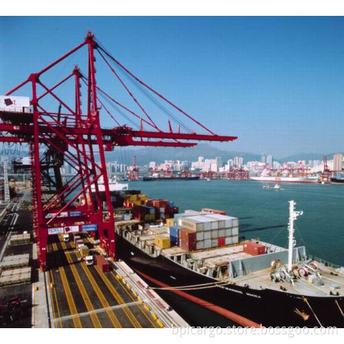 Professional Ocean Freight to Los Angeles Long Beach Seattle New York Miami